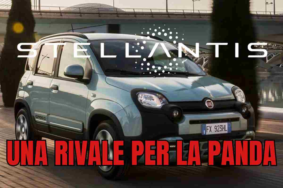 fiat panda rivale stellantis