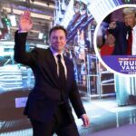 Musk, con Trump salta il progetto