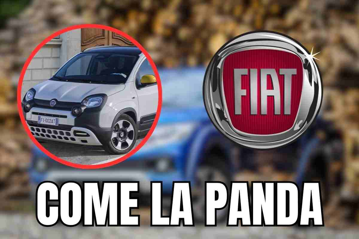 fiat strada