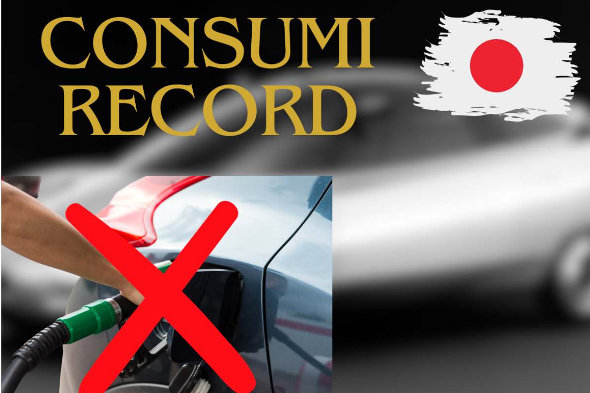 Auto autonomia record