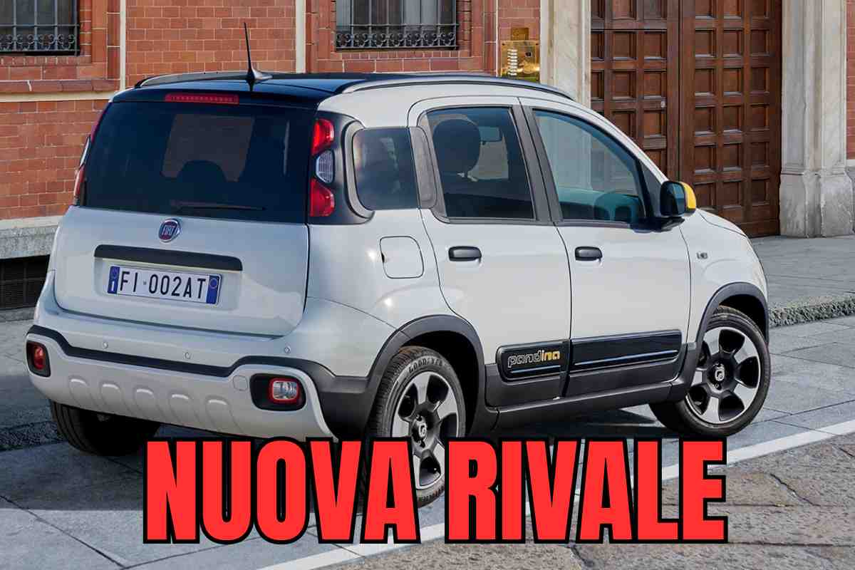 fiat panda