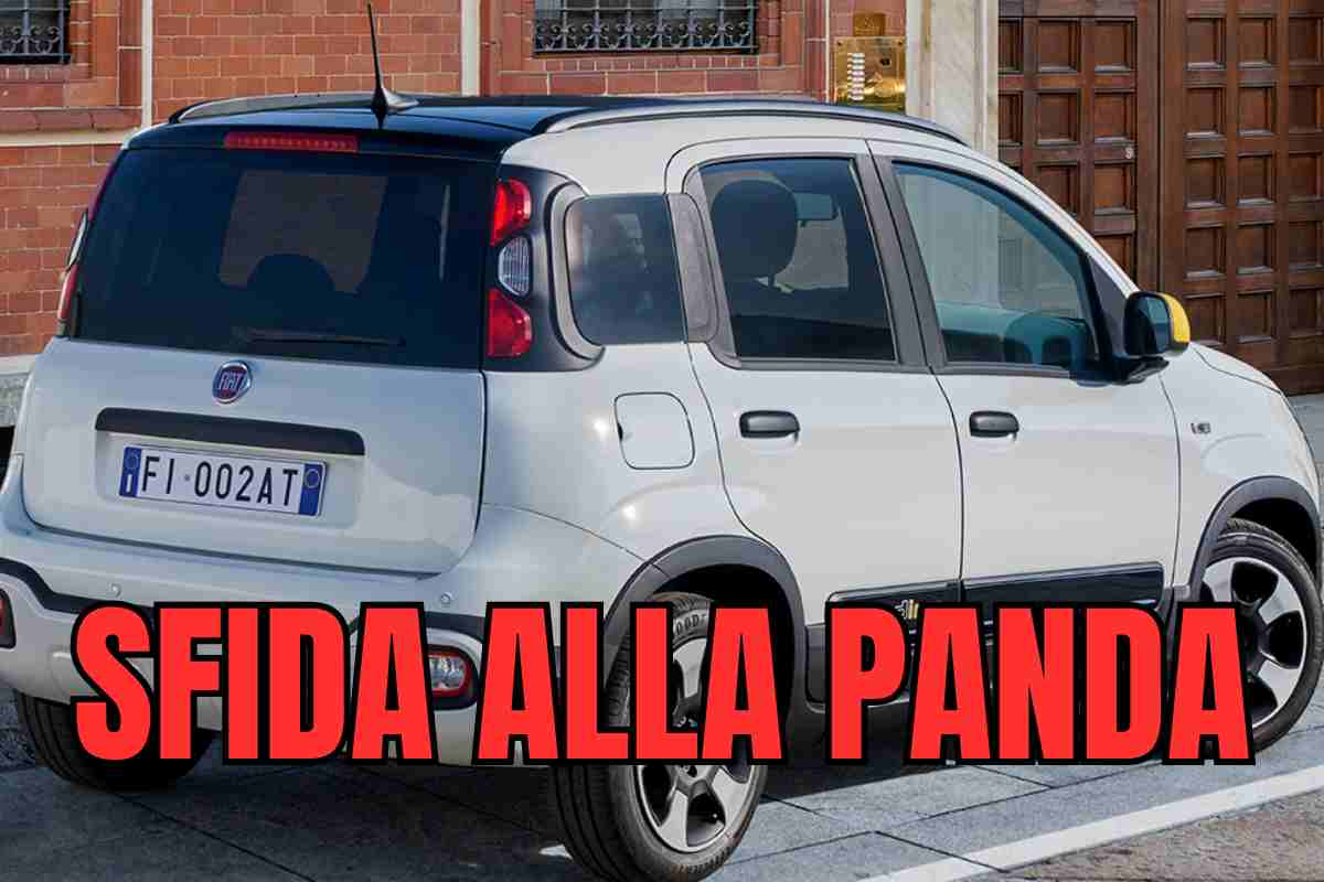 fiat panda