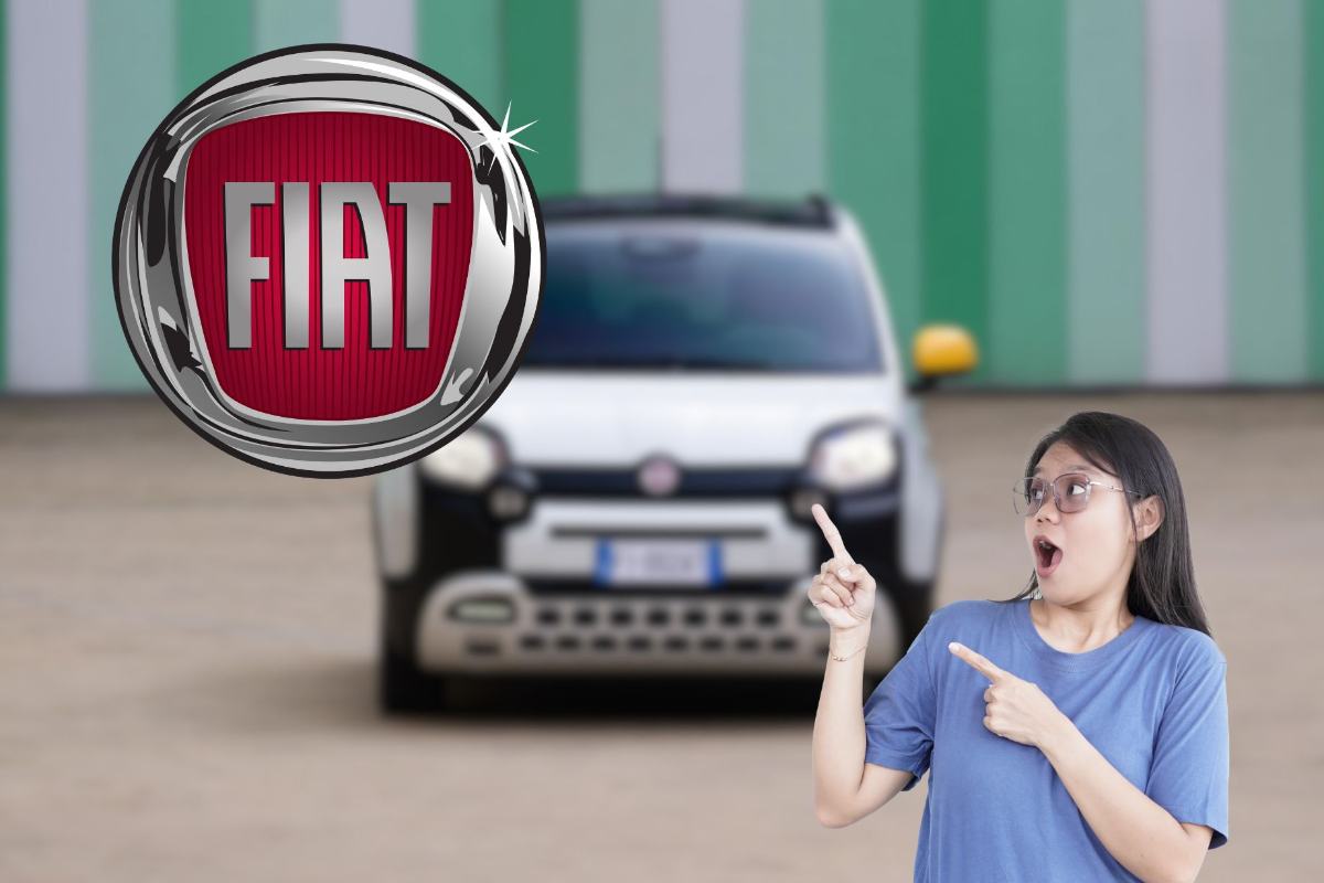 Fiat Panda, quello che c'è da sapere sulla sua evoluzione