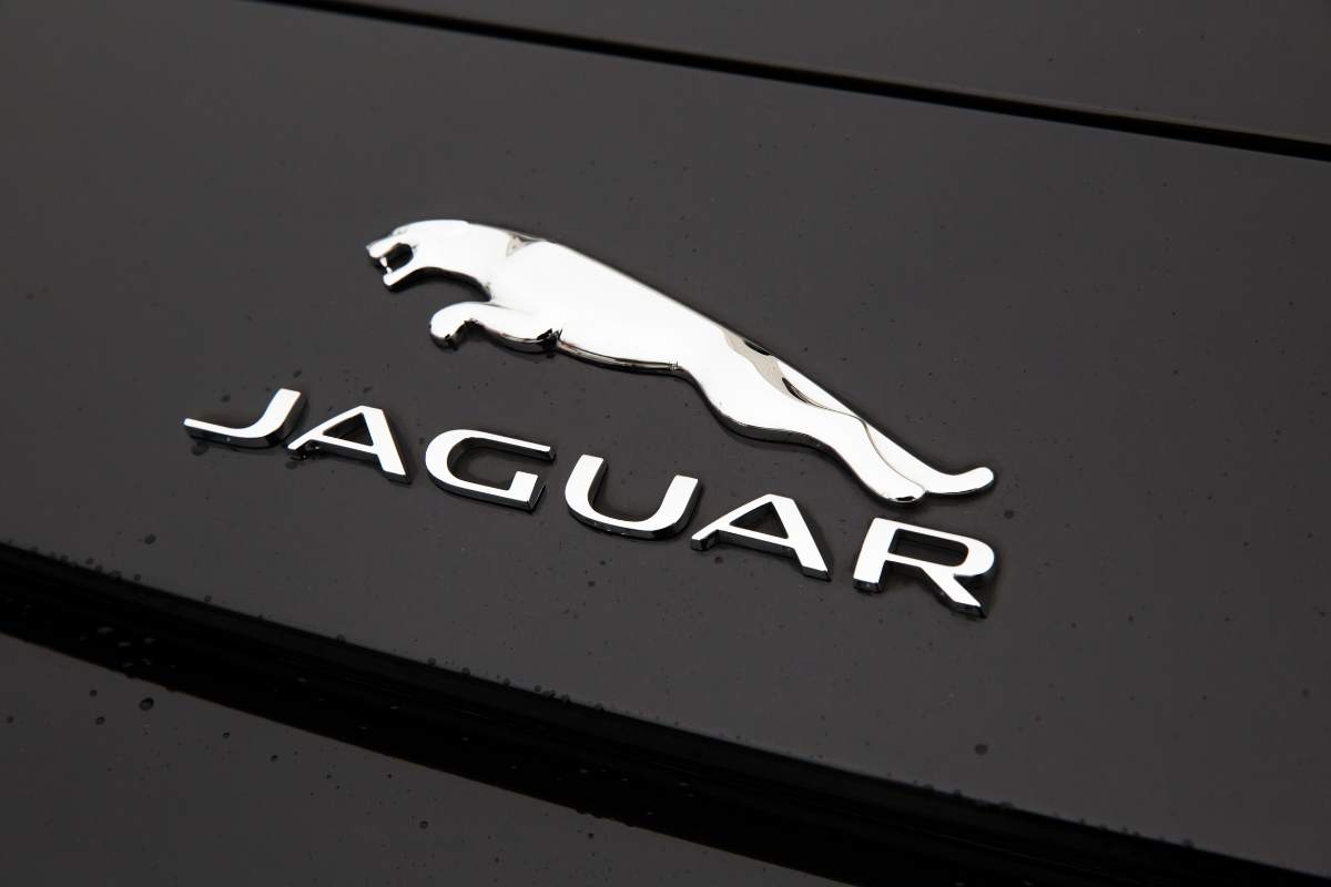 Jaguar logo