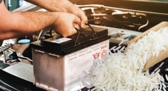Benzina e diesel sostituite dal riso? Non è una follia, potrebbe diventare realtà