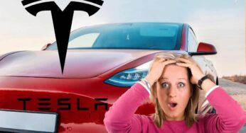 Altro che Tesla: ecco l’elettrica più amata, prezzo d’acquiso da modello a benzina