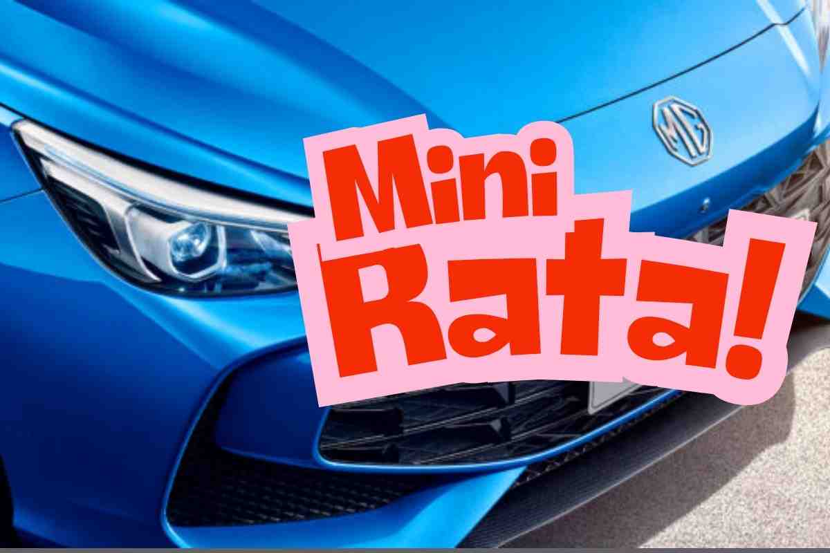 Mini rata