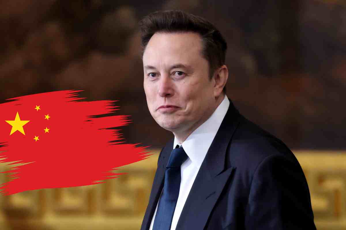 elon musk cina