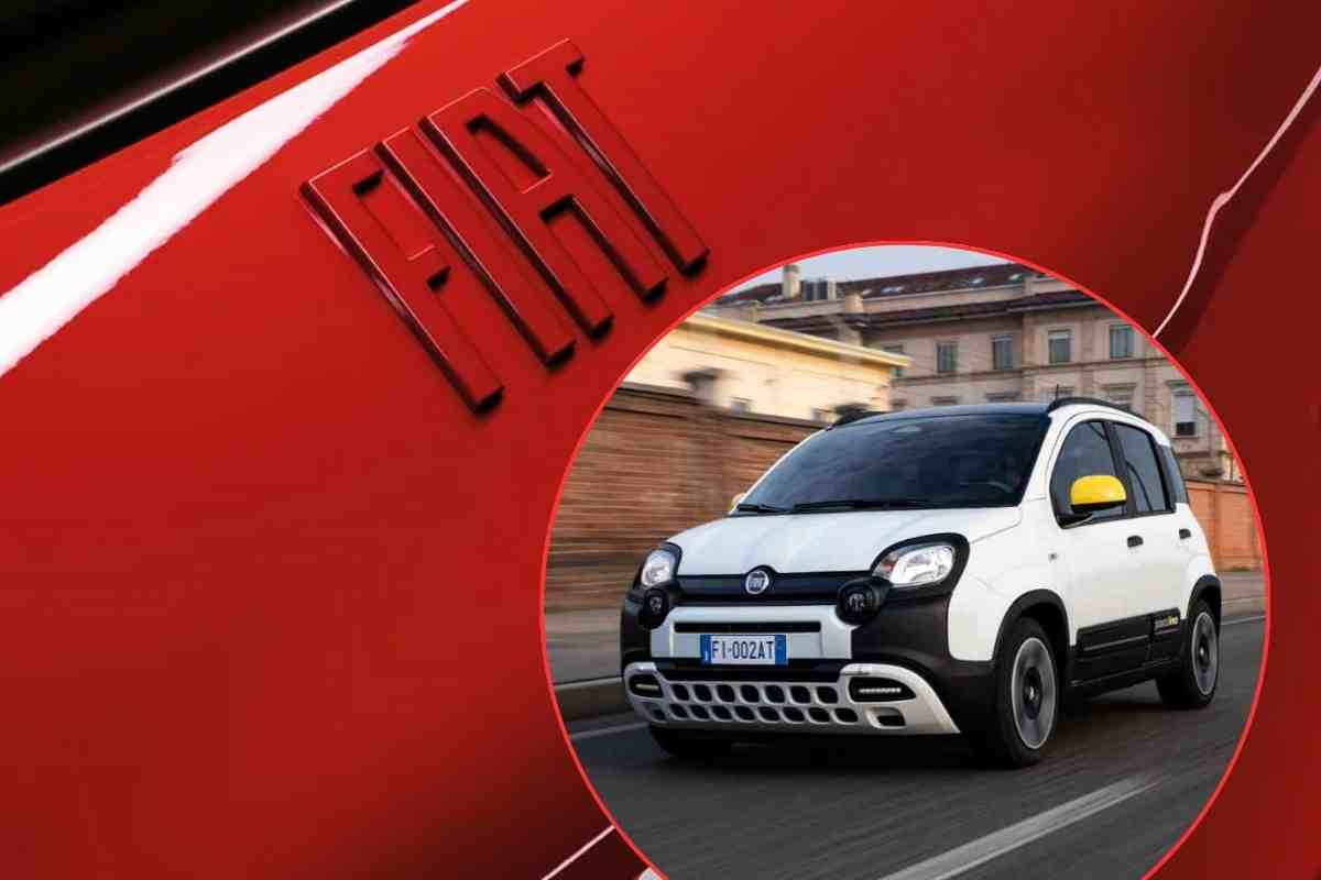 fiat 500 fiat panda