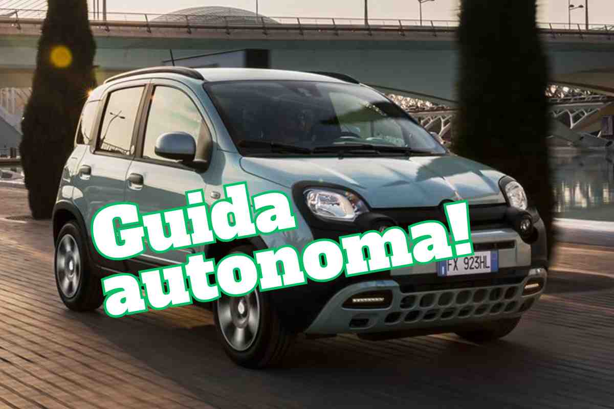 Panda guida autonoma