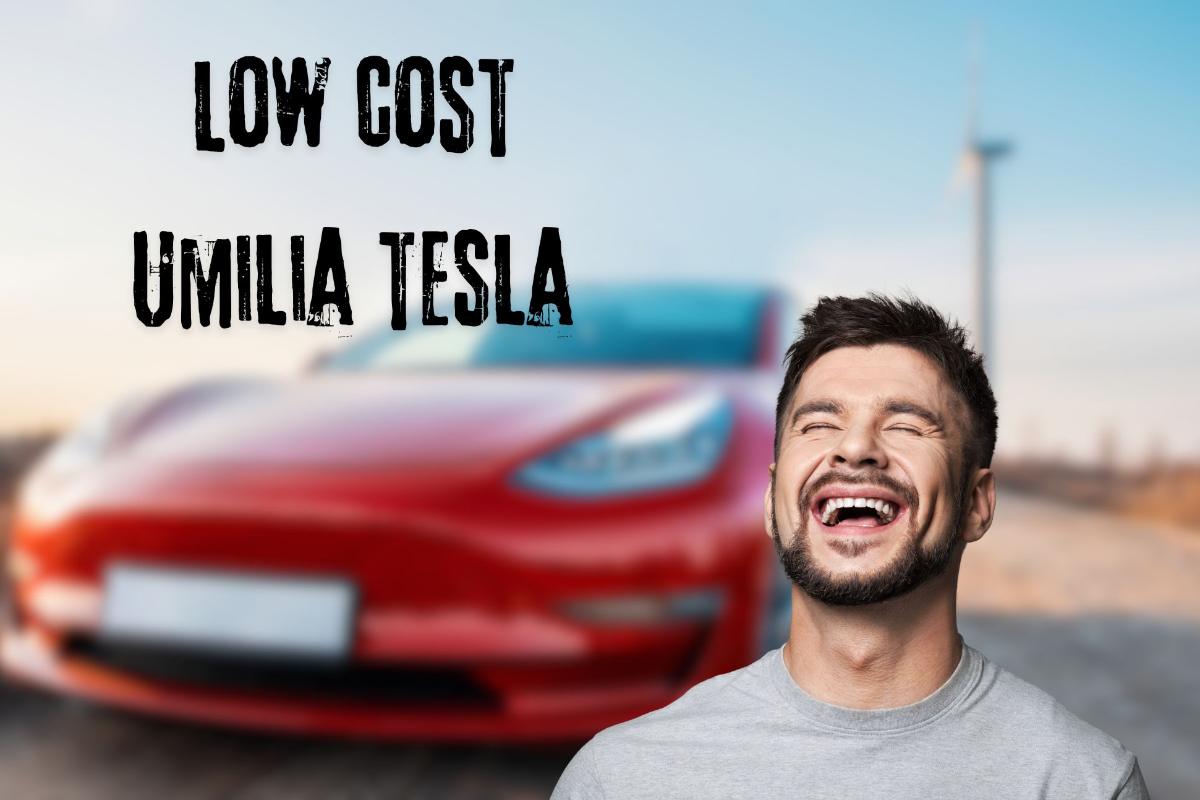 Auto low cost batte Tesla in Europa