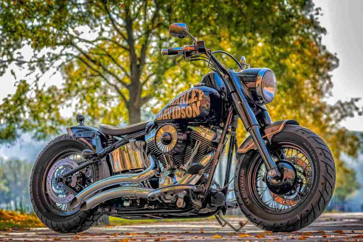 Una Harley-Davidson parcheggiata in un parco