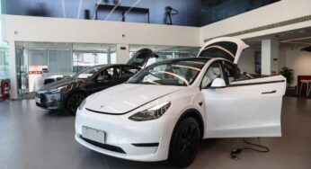 Tesla, Model Y low cost: il colosso vuole scacciare la crisi, sarà super conveniente
