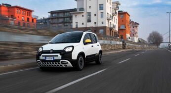 Meno di 8000 euro per la nuova Fiat Panda, promo super in Italia: c’è già la fila per prenderla
