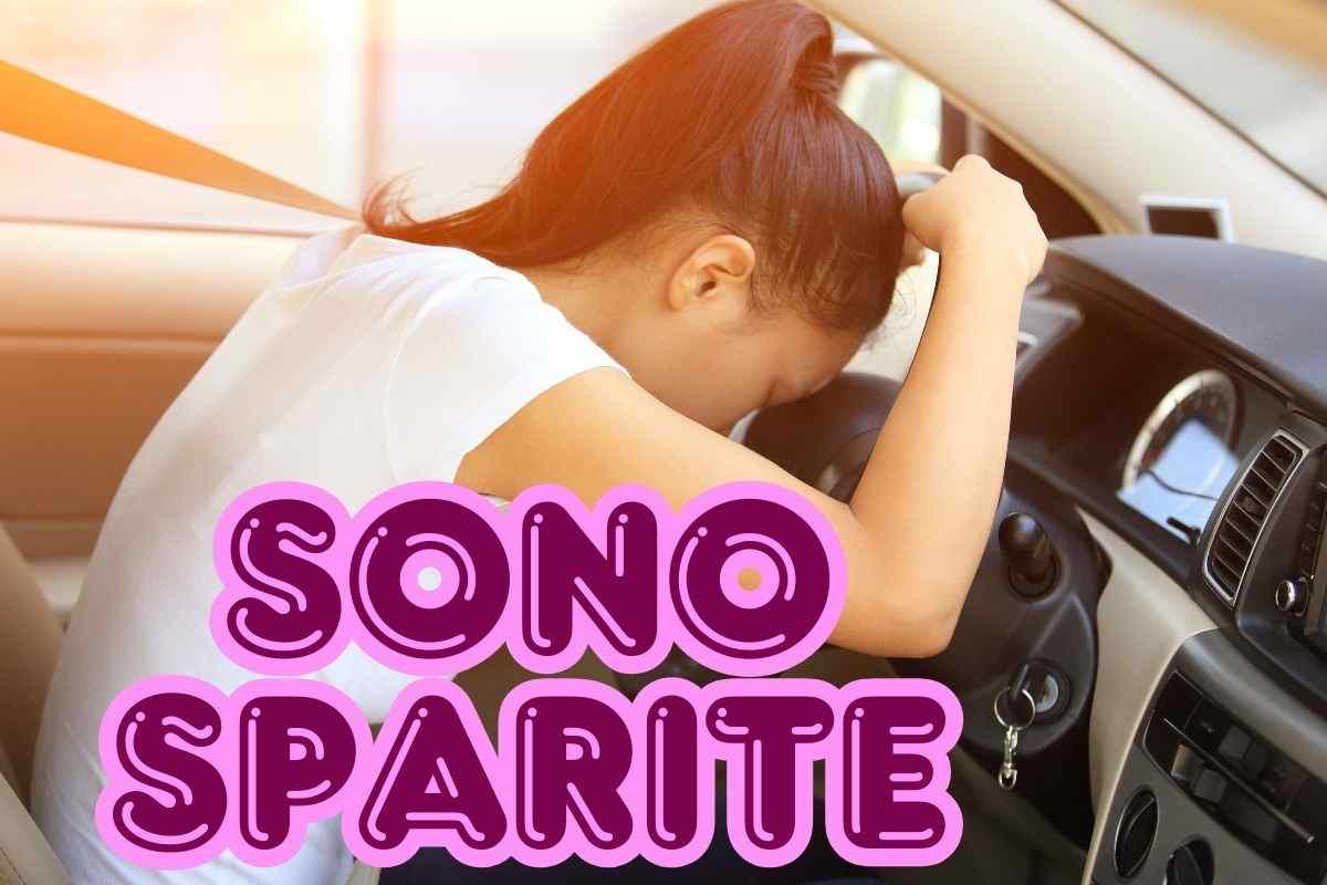 FIAT Panda auto rubate problemi paura