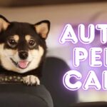 Fellschnute Camper cani cuccia novità