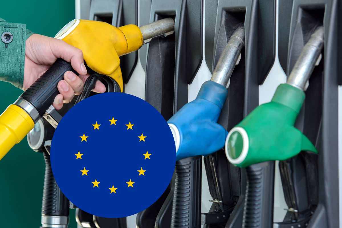 Ursula Von der Leyen Unione Europea emissioni CO2 multe