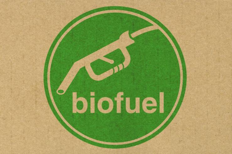 Diesel auto biofuel novità inquinamento