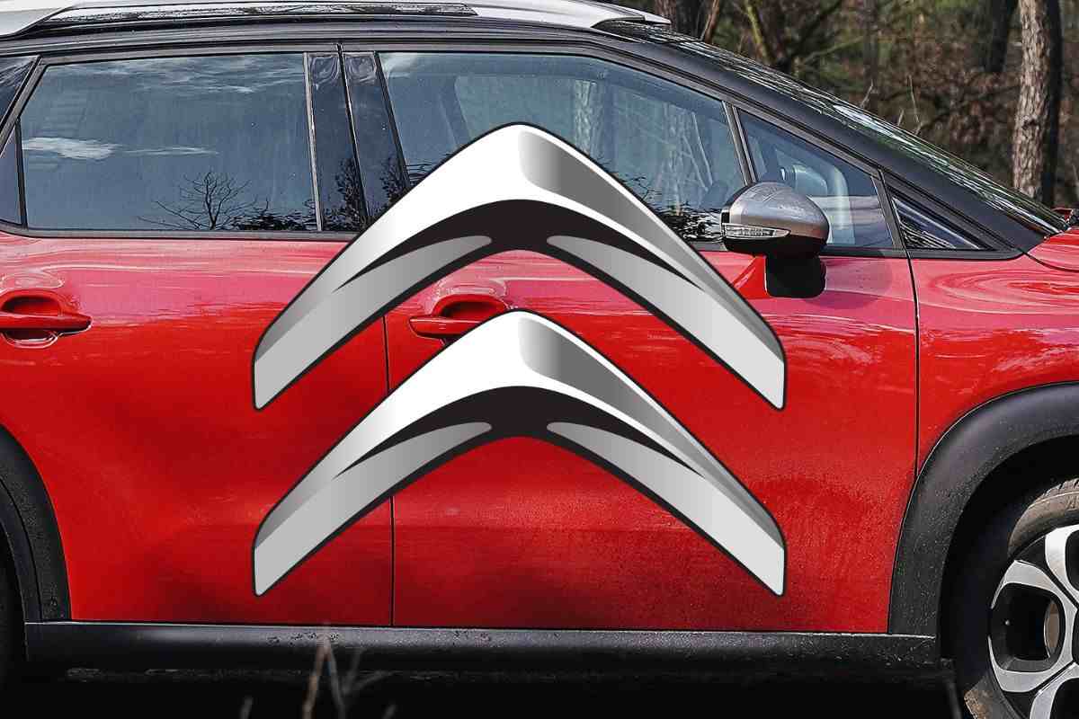 Citroen C3 novità auto occasione