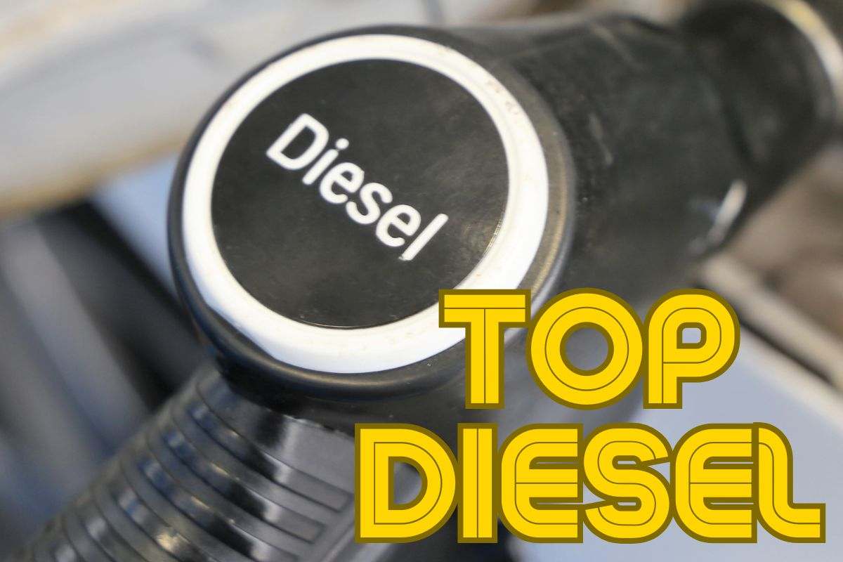 FIAT Tipo motore diesel occasione