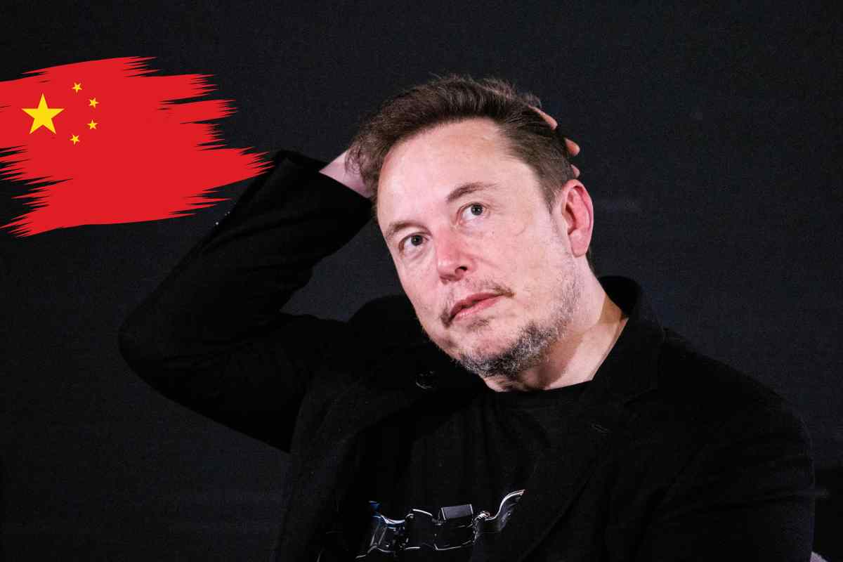 elon musk cina