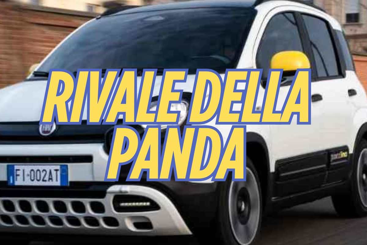 Kia Picanto novità auto citycar occasione