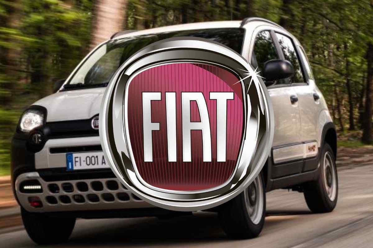 FIAT Panda 500 novità auto occasione