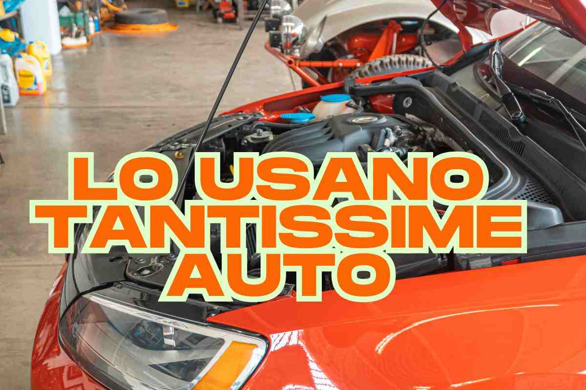 Dacia Renault motore catena distribuzione