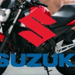 Suzuki V-Strom 650 moto occasione addio