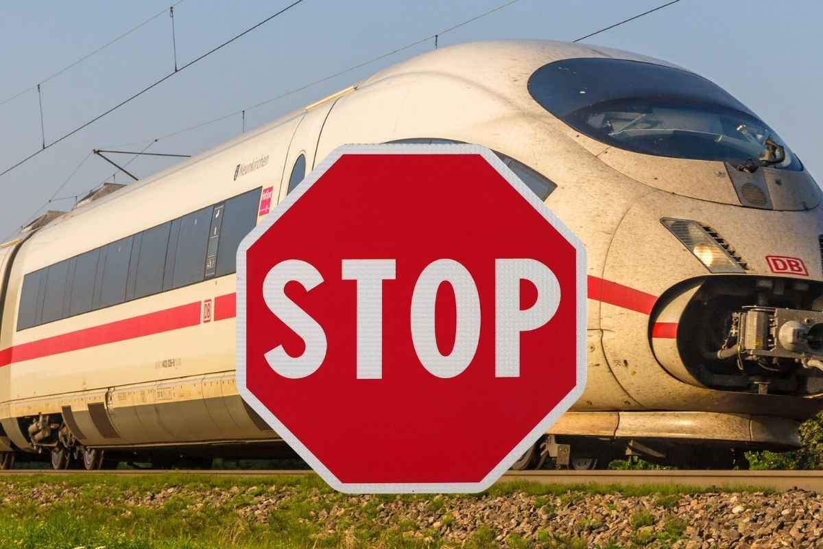 Serpente Treno Giappone stop problemi