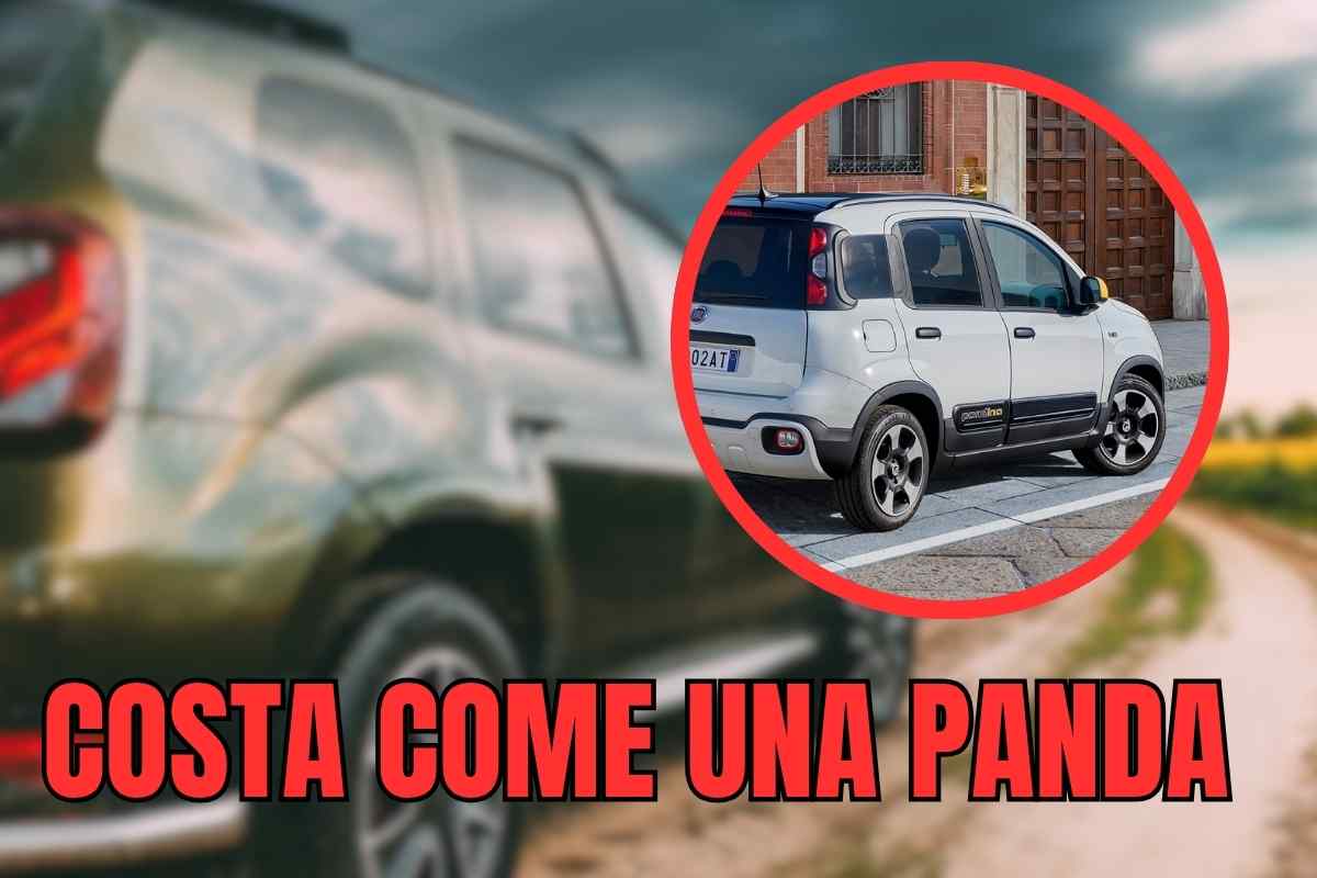 fiat panda