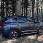 Un SUV all'interno del bosco