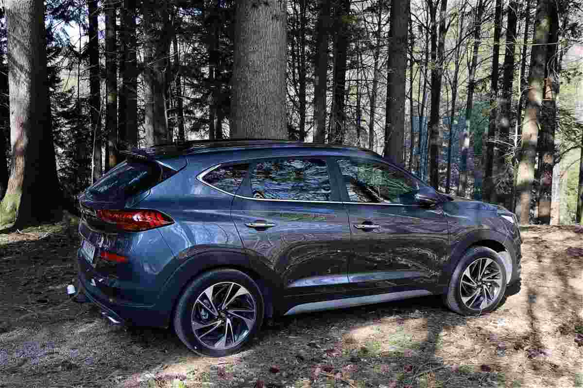 Un SUV all'interno del bosco