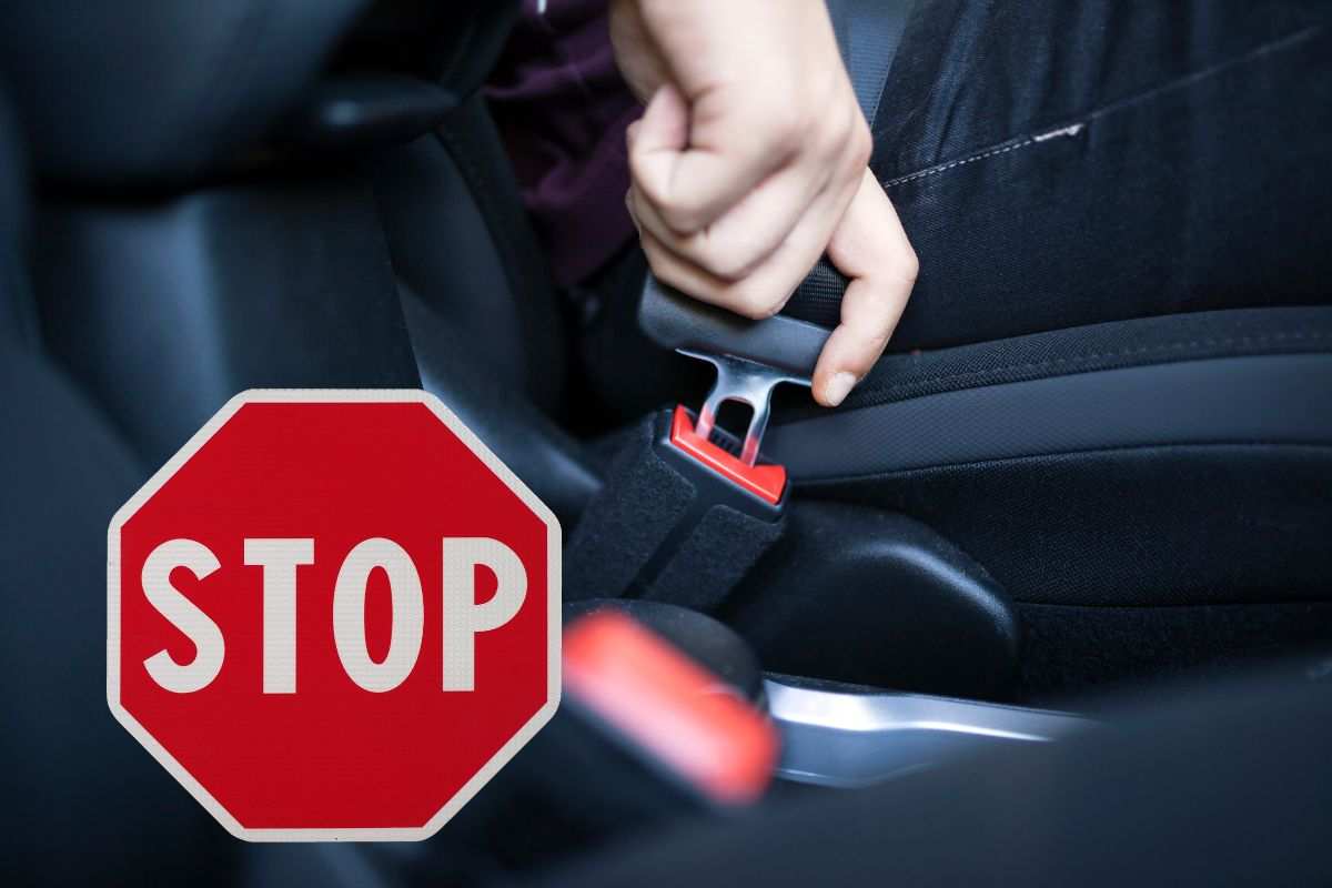 Volvo cintura sicurezza multi adattiva