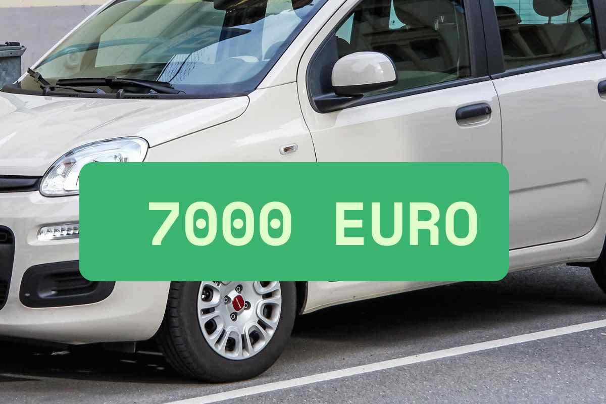 BYD Fiat Panda novità citycar economica