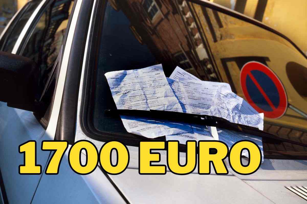 Cane auto trasporto multa sicurezza