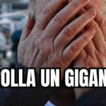 Crolla gigante
