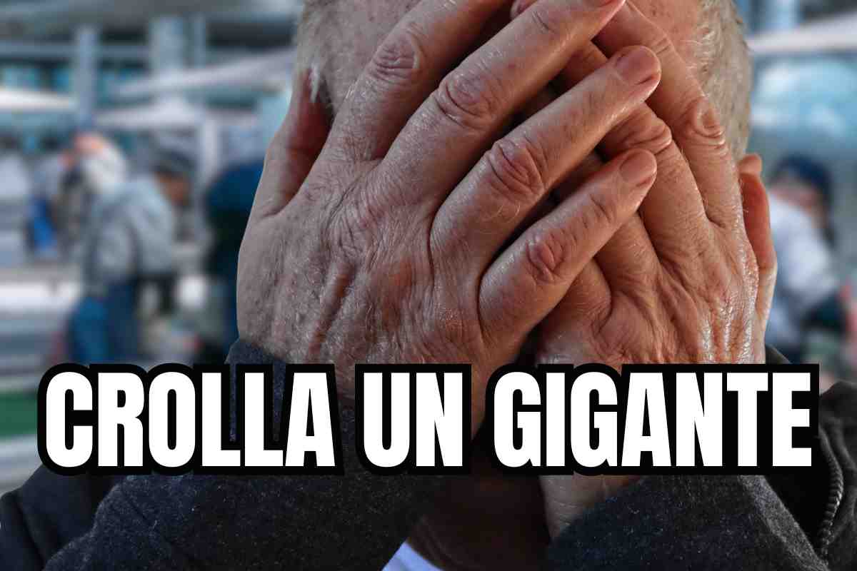 Crolla gigante