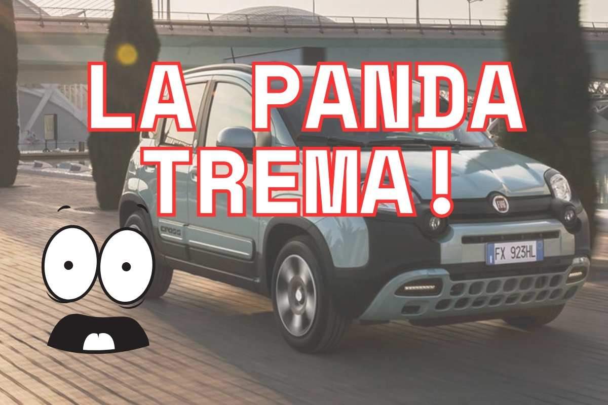La Fiat Panda trema: la Suzuki Swift la insidia