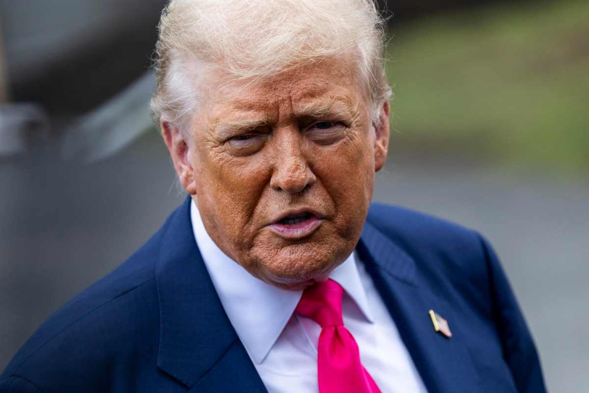 Tesla Model Y dazi Trump