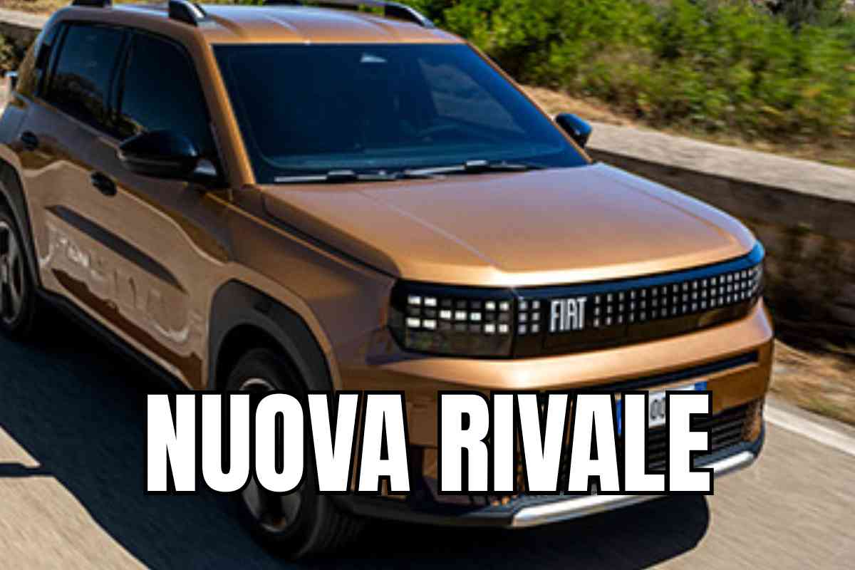 fiat panda