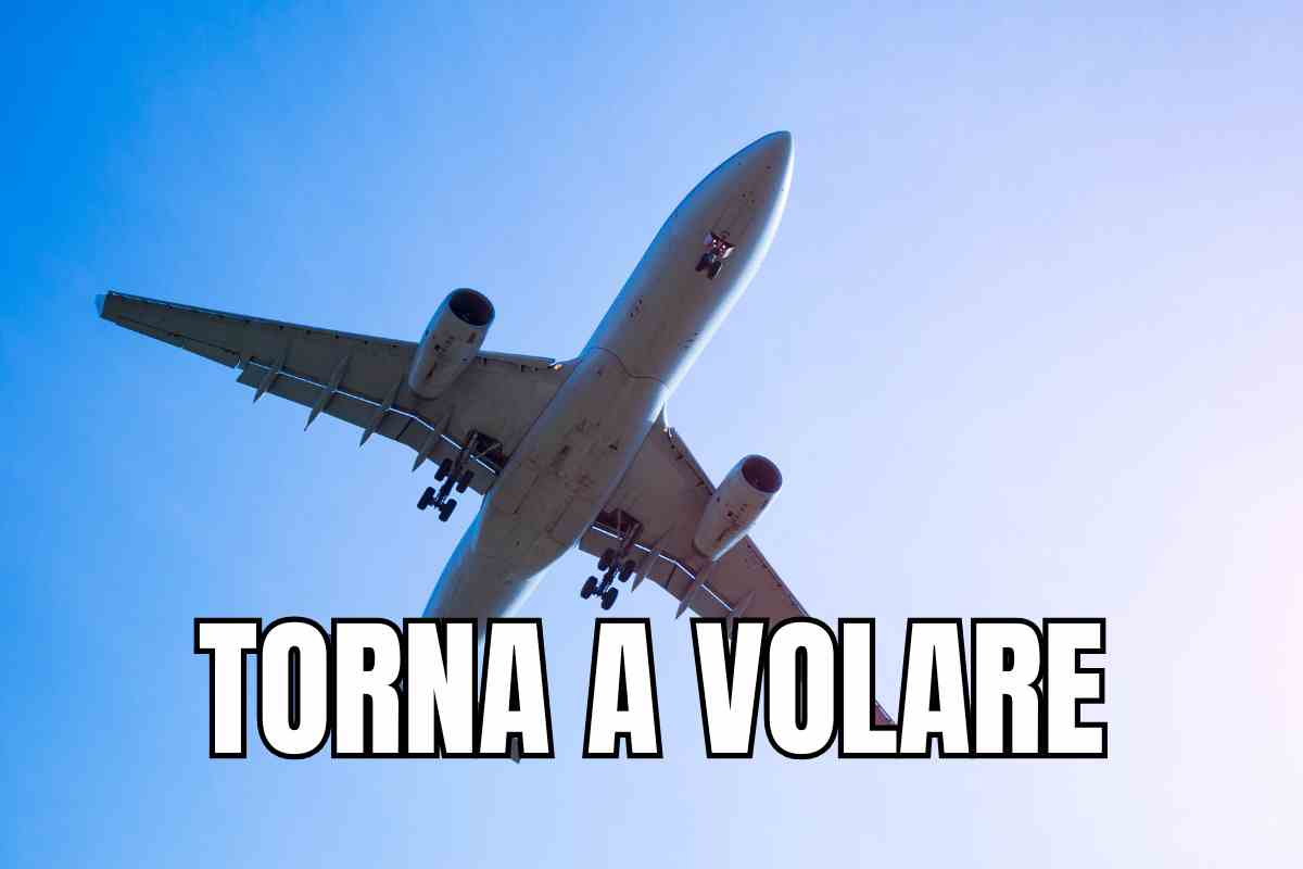 aereo