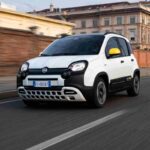 La Panda in strada