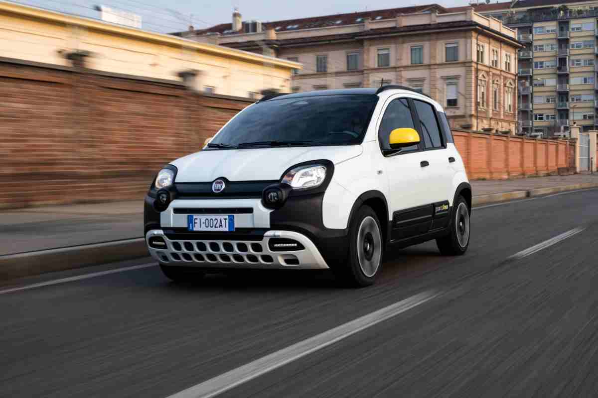 La Panda in strada