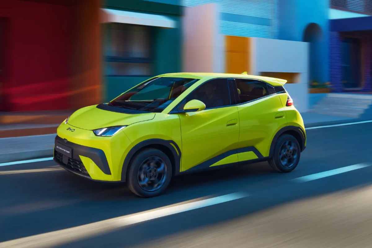 byd dolphin surf