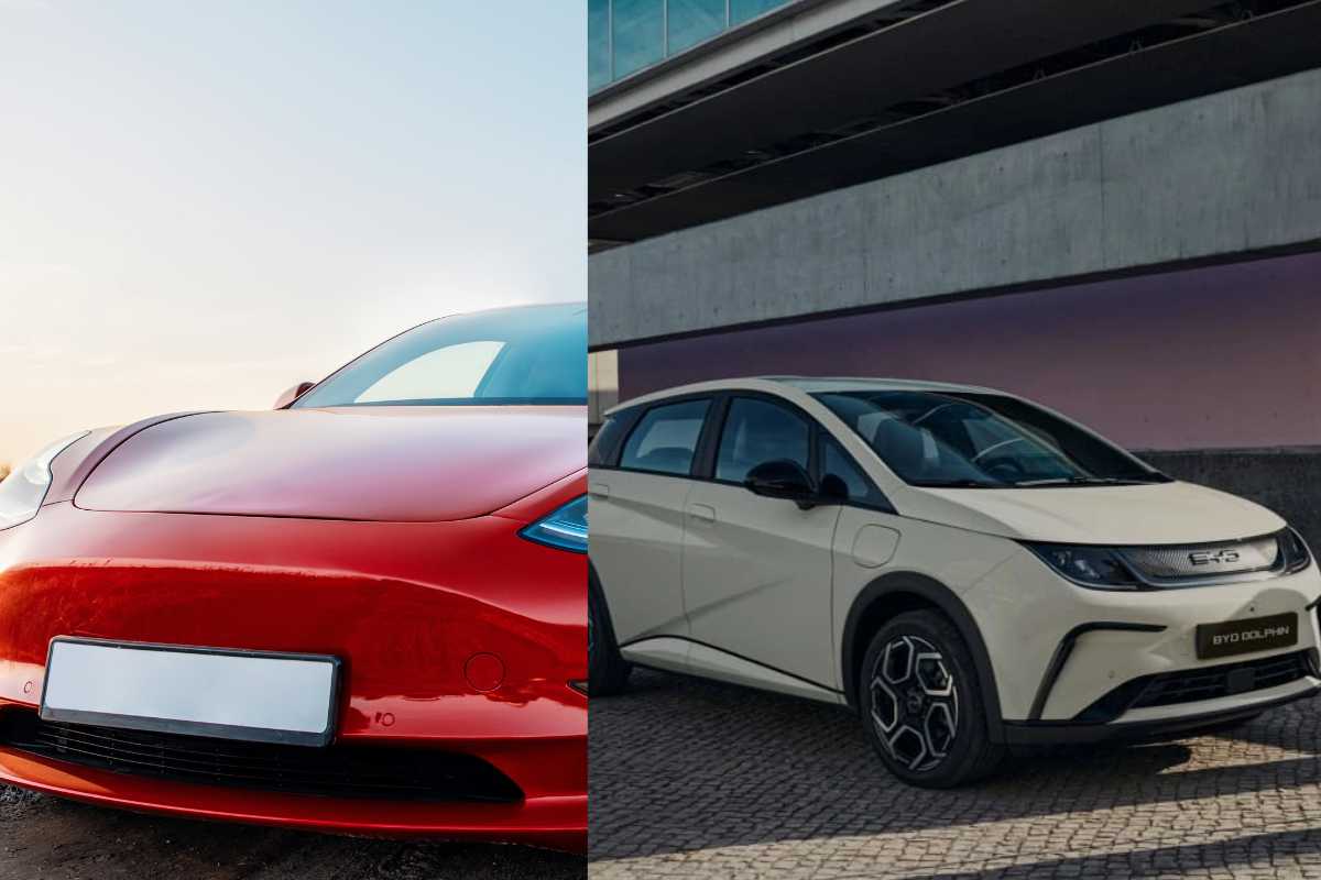 byd tesla elettrica
