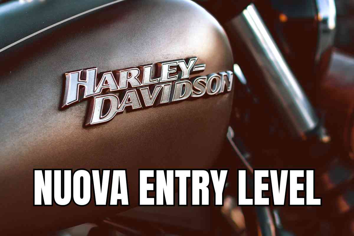 harley davidson moto logo
