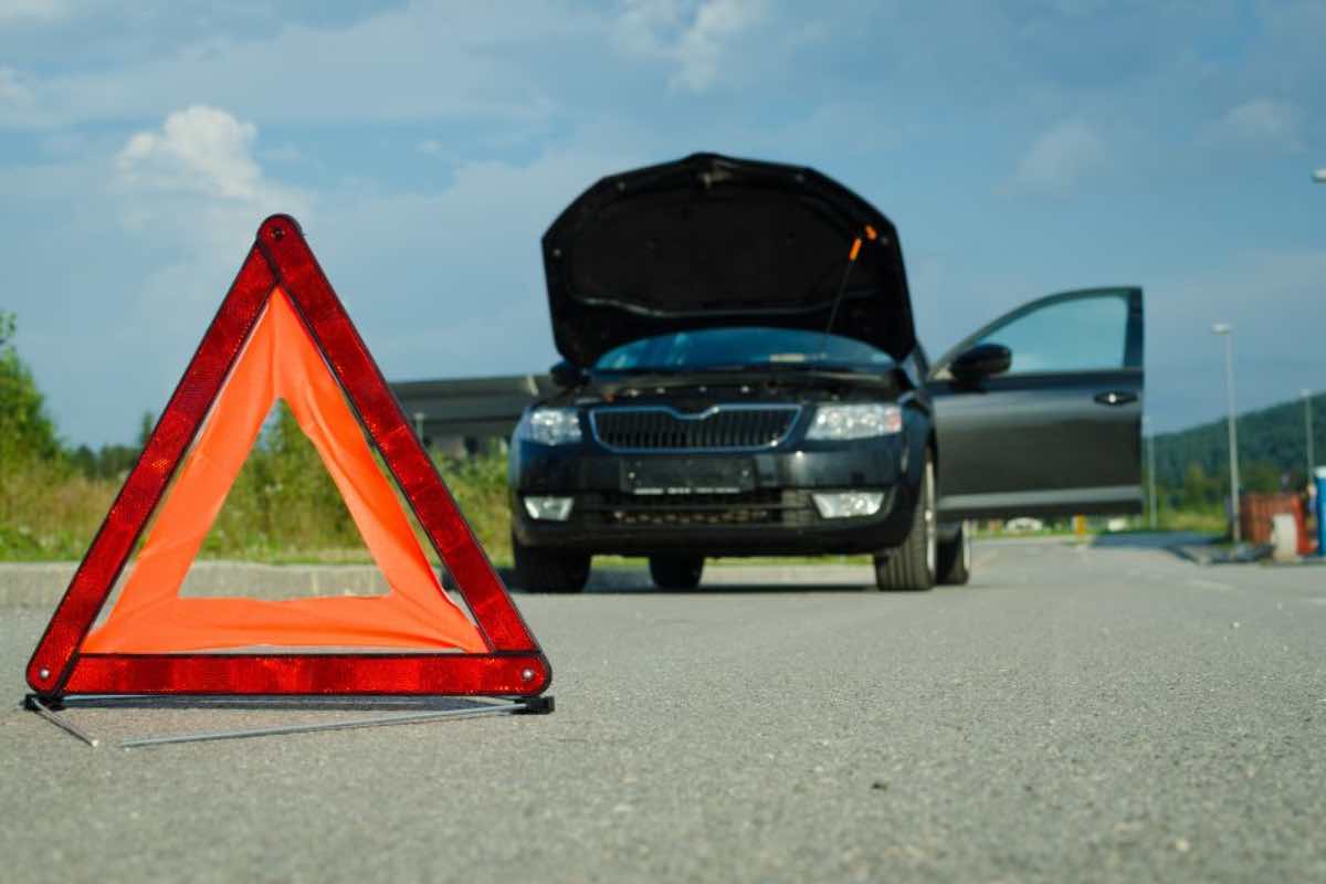Auto il colosso ha un problema
