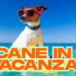Cane vacanza novità aereo