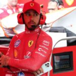Lewis Hamilton cane Roscoe